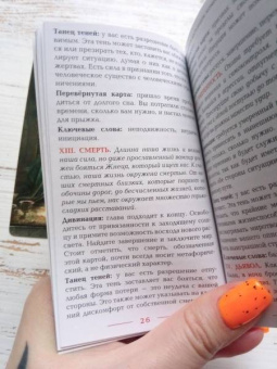 Алехандро Колуччи: Таро V