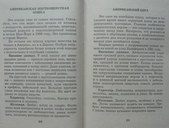 Мария Солодова: Чего хочет ваша кошка