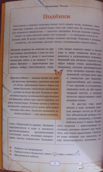 Владимир Горбатовский: Насекомые России. Жуки, бабочки и другие