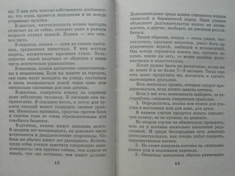 Мария Солодова: Чего хочет ваша кошка