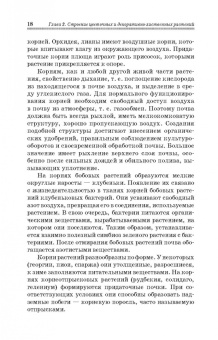 Шаламова, Крупина, Миникаев: Цветоводство. Практикум. Учебное пособие