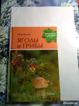 Петр Волцит: Ягоды и грибы