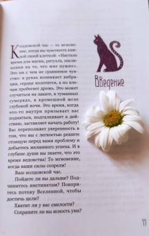 Сильвер Рэйвенвульф: Час ведьмы. Заклинания, порошки, формулы и эффективные техники ведовства