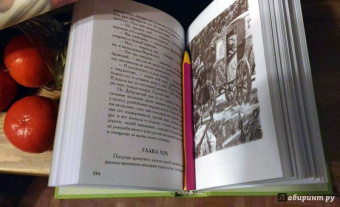 Александр Пушкин: Капитанская дочка. Дубровский