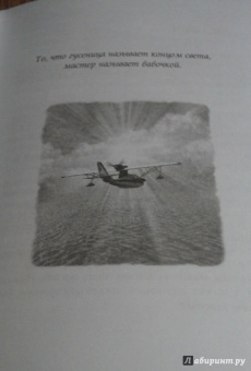 Ричард Бах: Иллюзии II. Приключения одного ученика, который учеником быть не хотел
