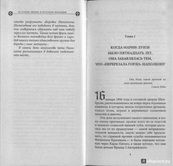 Ги Бретон: История любви в истории Франции в 10-ти томах. Книга 8. Наполеон и Мария-Луиза