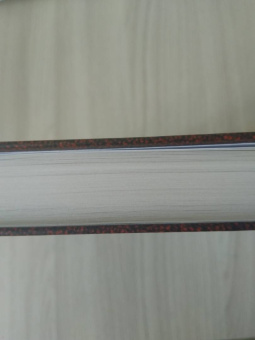 Александр Дюма: Консьянс блаженный