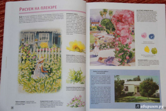 Лучшие уроки. Рисуем акварелью