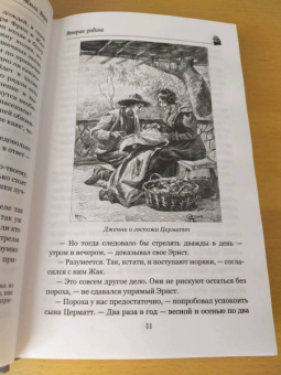 Жюль Верн: Вторая родина