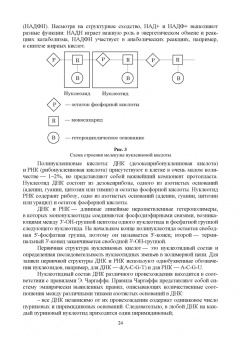 Татьяна Хромова: Ботаника с основами физиологии растений. Учебник для вузов