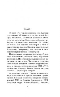 Александр Тамоников: Волынская мадонна