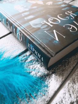 Карина Демина: Юся и эльф