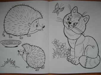 Татьяна Коваль: Домашние любимцы