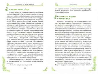 Сандра Кайнс: Магия деревьев. Как соединиться с их духом и стать мудрее
