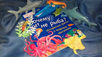 Гальчук, Яценко: Почему кит не рыба? Интересные факты о морских обитателях