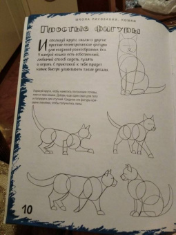 Марк Берджин: Школа рисования. Кошки