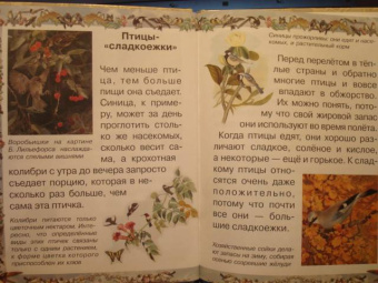 Валерий Роньшин: Птичьи секреты