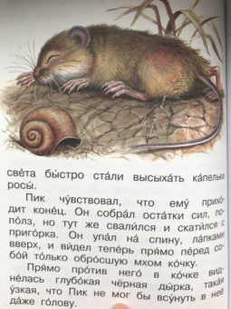 Виталий Бианки: Мышонок Пик