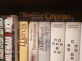 Фернандо Арамбуру: Стрижи