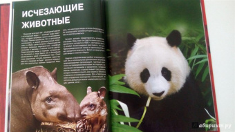 Скалдина, Слиж: Красная книга. Животные мира