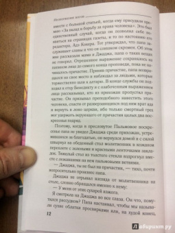 Чимаманда Адичи: Лиловый цветок гибискуса