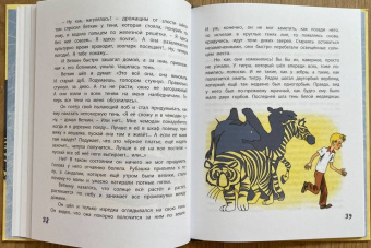 Софья Прокофьева: Удивительные приключения мальчика без тени и тени без мальчика