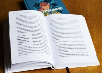 Ричард Шварц: Мои разные "я". Что такое субличности и как знание о них поможет проработать травмы