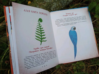 Наталия Немцова: Стражи леса. Сказки для почемучки