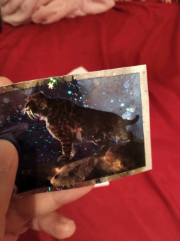 Альбом для коллекционирования наклеек "Зоопланета 2020" (8018190009323)