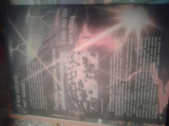 Евстигнеев, Ященко: Кто на свете старше динозавра... или Почему киты живут в воде, а слоны на суше?