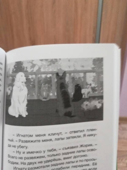 Олег Надточей: Кот, собака и гусь