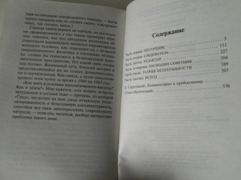 Стругацкий, Стругацкий: Град обреченный