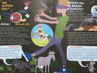 Ксения Евдокимова: Человек