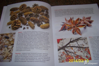 Алена Верхола: Чудеса из природных материалов. Делаем вместе с мамой