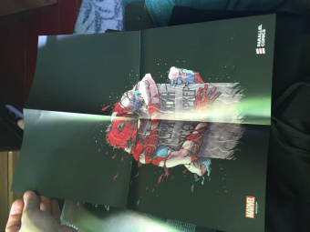 Кари Эндрюс: Человек-Паук. Стража