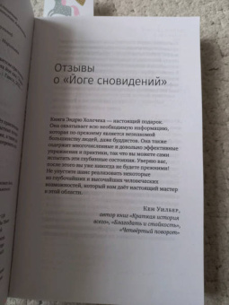 Эндрю Холечек: Йога сновидений. Наполните свою жизнь светом при помощи практики осознанных сновидений