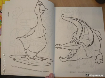 Большая раскраска "Животные"