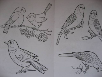 Татьяна Коваль: Домашние любимцы