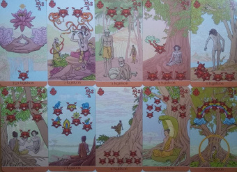 Летиция Бруно: Сиддхартха Таро