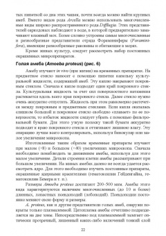 Блохин, Блохина: Практикум по зоологии. Учебное пособие для вузов
