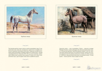 И. Афанасьева: Лошади