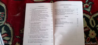Елена Коровина: Нумерология успеха. Запусти колесо Фортуны