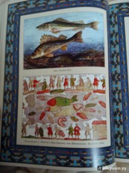 Русская рыбалка