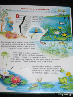 Татьяна Елумеева: Растения