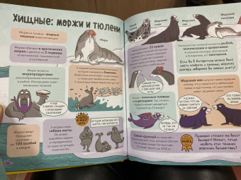 Noodle Fuel: Звери. От броненосца до зебры. Самые невероятные факты, рекорды и достижения