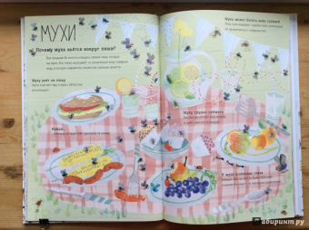 Зоммер, Тейлор: Большая книга букашек