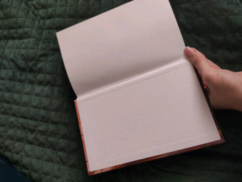 Терри Пратчетт: Делай деньги!