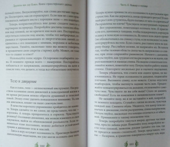 ван дер Ховен Джоанна: Книга странствующего друида. Полное руководство для одинокого искателя