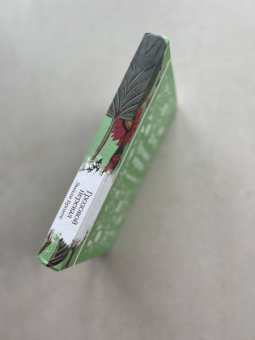 Эмили Бронте: Грозовой перевал