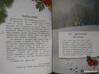 Александр Тихонов: Лесные тайны